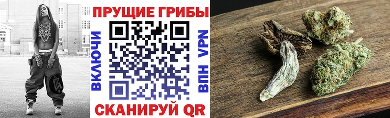 купить закладку  Братск  omg ссылки  Псилоцибиновые грибы Cubensis 