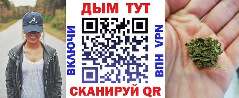 darknet официальный сайт  Братск  Канабис план  где продают  
